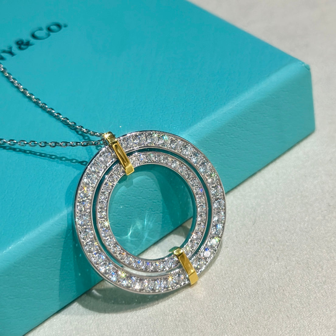 Tiff Edge Circle Diamond Pendant Necklace